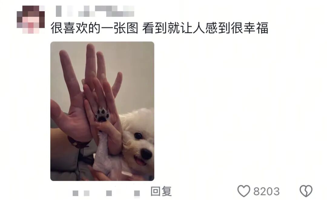 当你单身太久突然谈了个恋爱，“首任你跑快点好吗，我要顶不住了！”