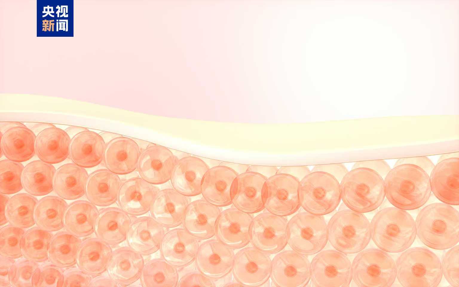 湿疹可能是“干”出来的 冬季皮肤瘙痒需警惕