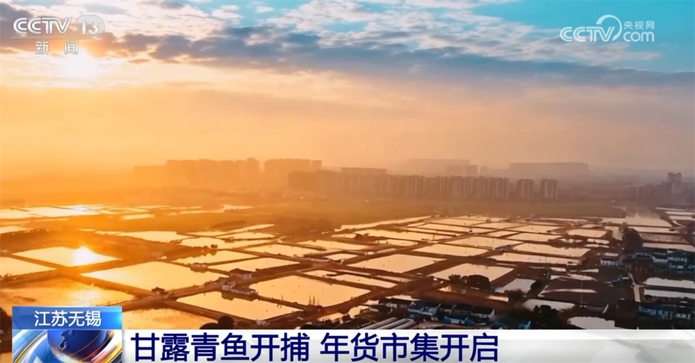 百姓“菜篮子”物丰量足“鲜”味浓 土特产点燃“年货经济”新引擎 百姓“菜篮子”物丰量足“鲜”味浓 土特产点燃“年货经济”新引擎