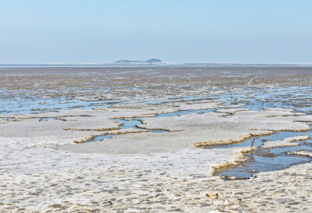 寒潮来袭 连云港出现冰凌潮汐树 寒潮来袭 连云港出现冰凌潮汐树