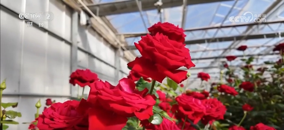 各地市场购销两旺腾浓浓烟火气 “年经济”释放强大消费活力