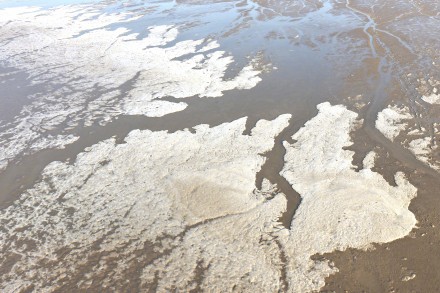 寒潮来袭 连云港出现冰凌潮汐树 寒潮来袭 连云港出现冰凌潮汐树