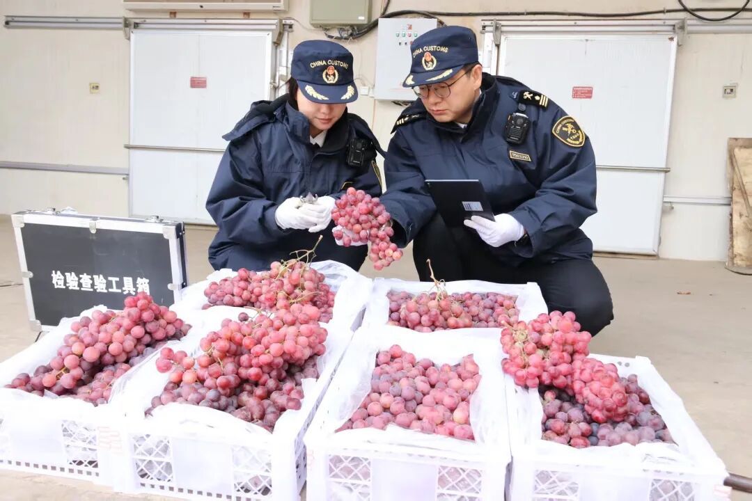 甘肃地理标志证明商标首次获海关总署备案核准 甘肃地理标志证明商标首次获海关总署备案核准