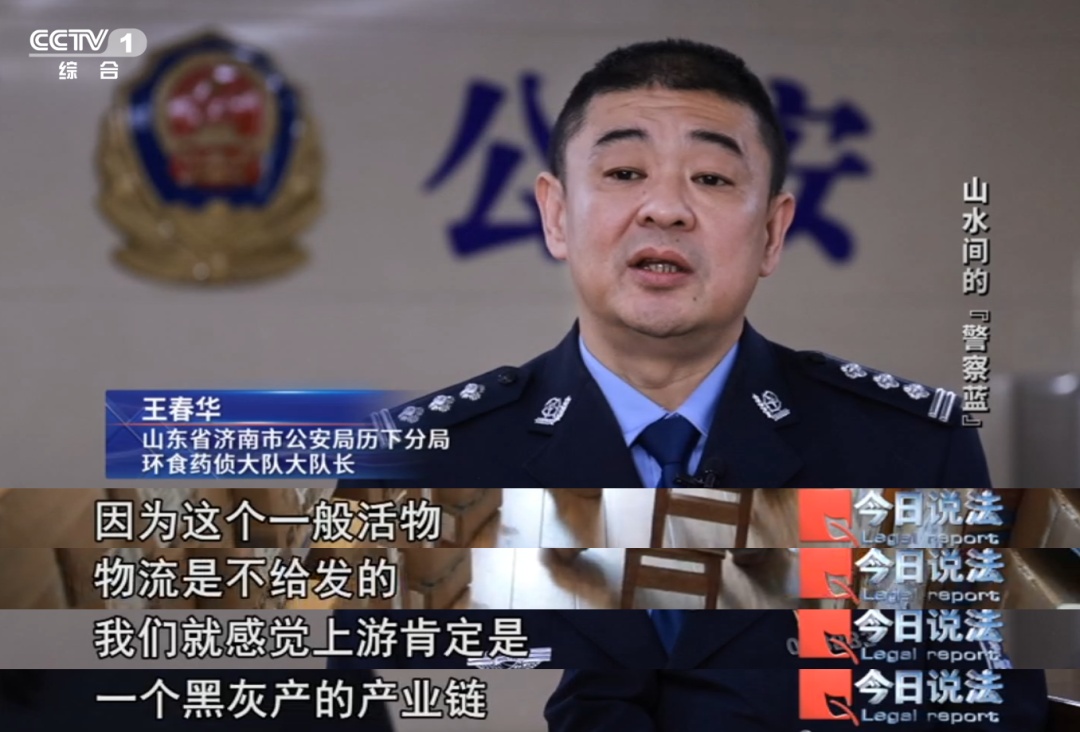 不是你想养就能养!这些陆龟和画眉鸟禁止私下买卖…… 不是你想养就能养!这些陆龟和画眉鸟禁止私下买卖……