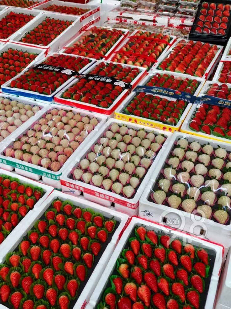 价格接近“腰斩”！大量上市，杭州老板发愁：卖不出去啊过年前价格或要涨