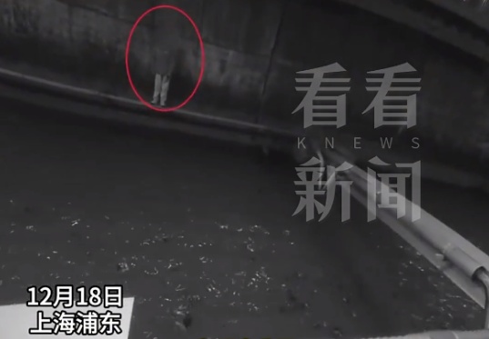 上海一男子自称绝望,要跳黄浦江轻生!警方救人后将其刑拘!案件详情 上海一男子自称绝望,要跳黄浦江轻生!警方救人后将其刑拘!案件详情