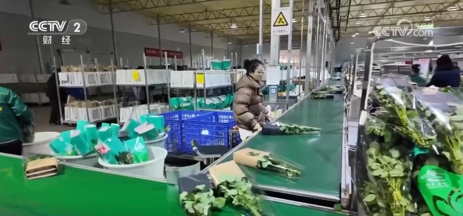 各地市场购销两旺腾浓浓烟火气 “年经济”释放强大消费活力