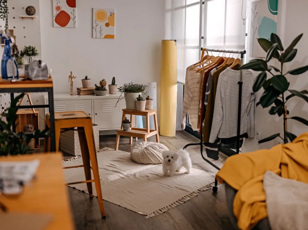 家具、电器、狗、陪伴……万物皆可租