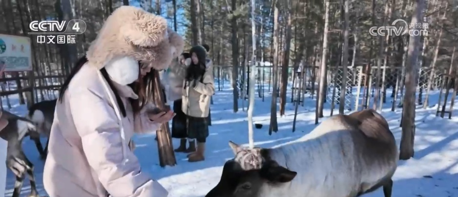 “冷资源”迸发“热动能” 冰雪季成为经济增长“黄金季” “冷资源”迸发“热动能” 冰雪季成为经济增长“黄金季”