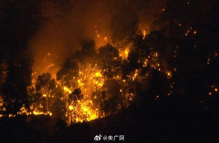 日本山火持续蔓延政府发布避难指示