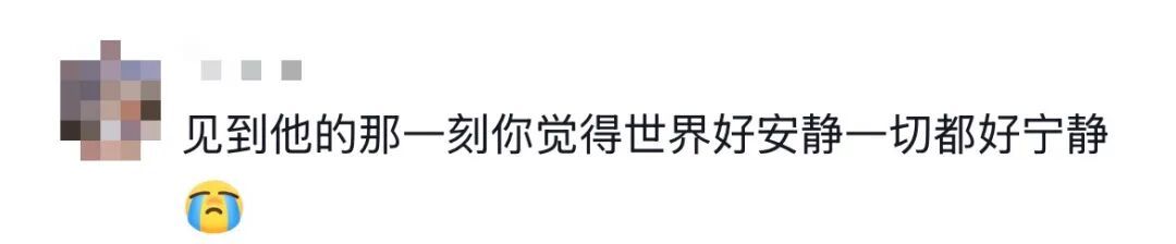 当你单身太久突然谈了个恋爱，“首任你跑快点好吗，我要顶不住了！”