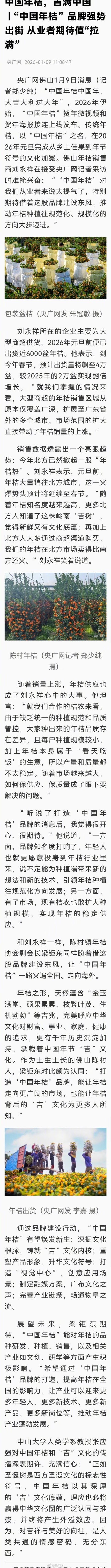 广东的年桔在北方卖疯了