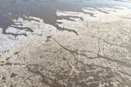 寒潮来袭 连云港出现冰凌潮汐树 寒潮来袭 连云港出现冰凌潮汐树