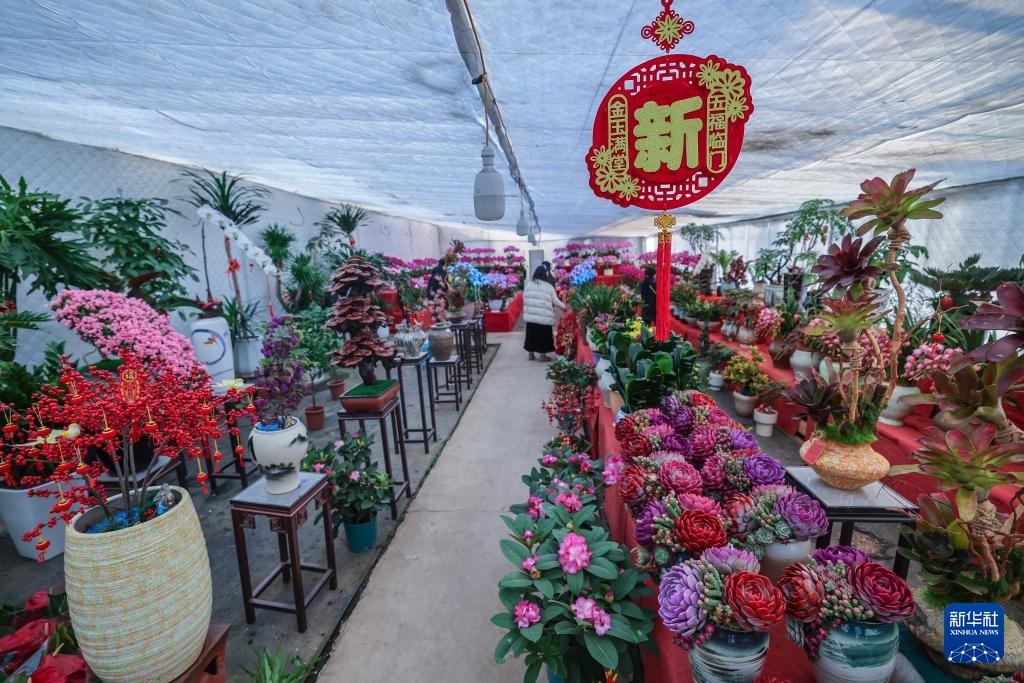 浙江金华：年宵花卉进入销售旺季