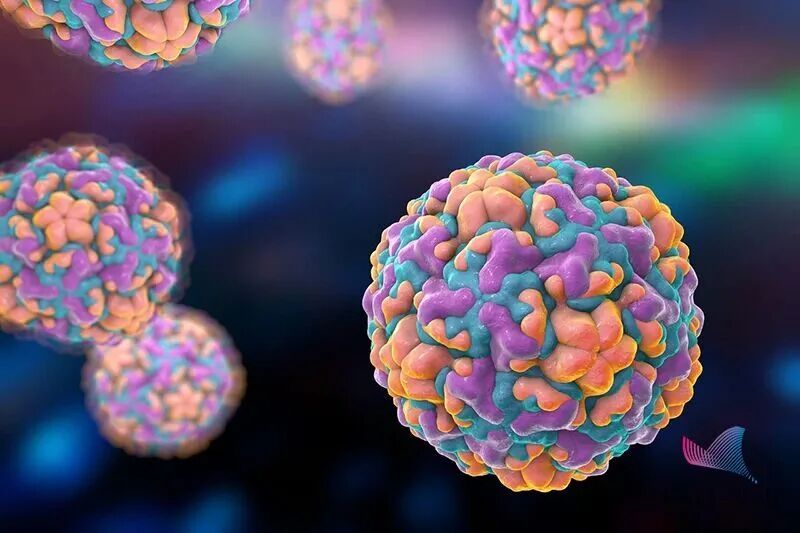 当前阳性率上升!鼻病毒是什么?中疾控提醒→ 当前阳性率上升!鼻病毒是什么?中疾控提醒→