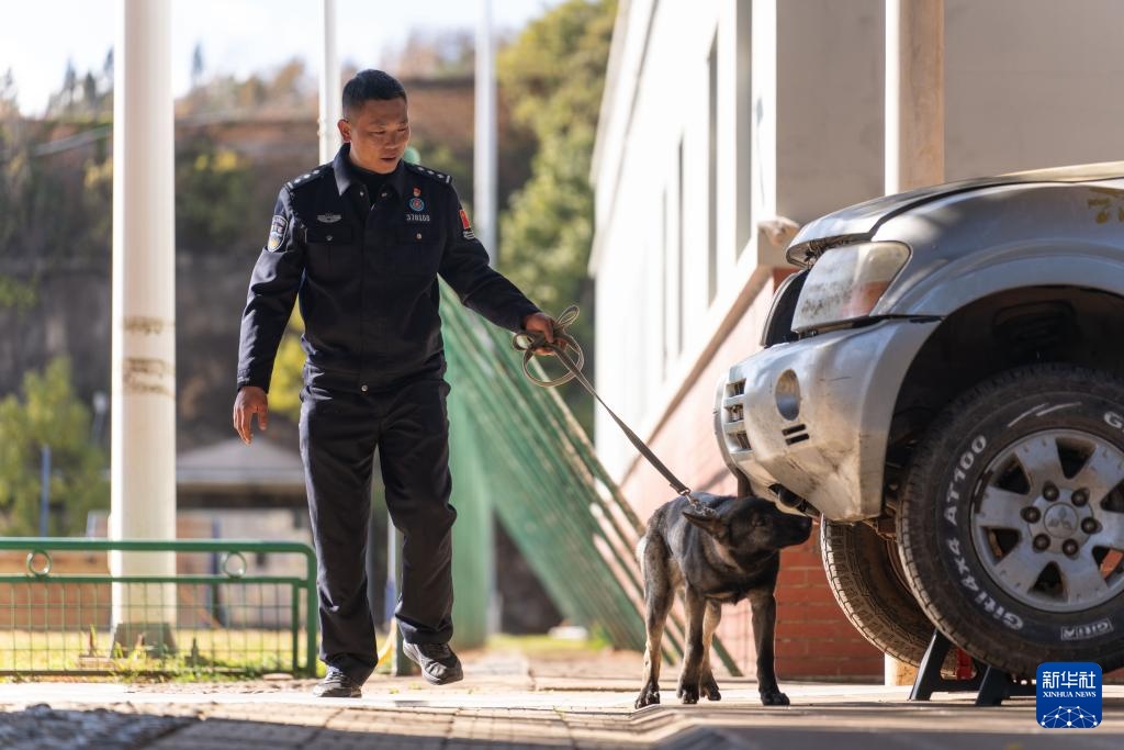 探访昆明犬“汪汪队警校”