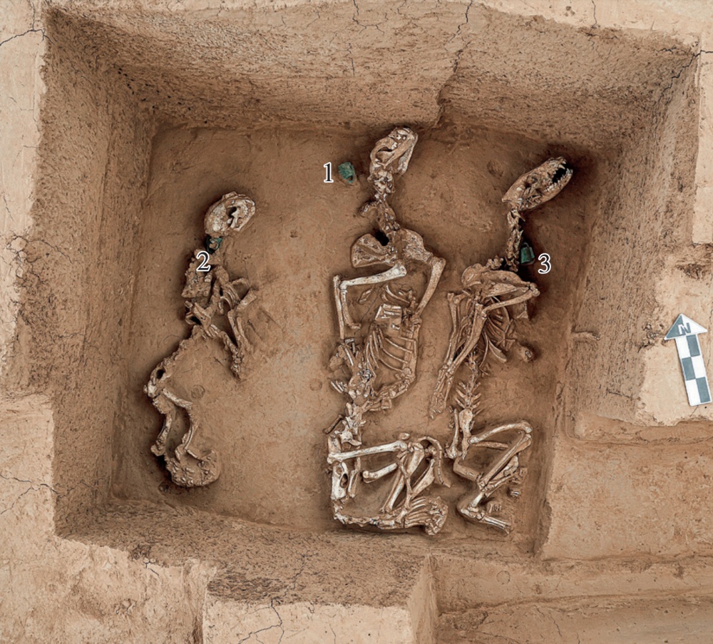 安阳殷墟王陵区发现3000多年前商代的“野生动物园”，其中以马最多，数目均为偶数