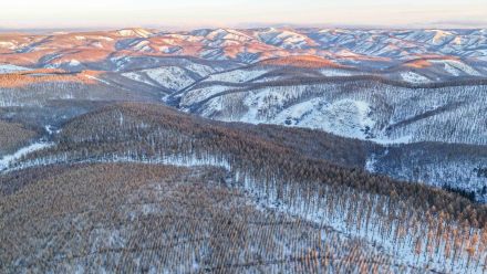 收藏！冬日塞罕坝美成壁纸