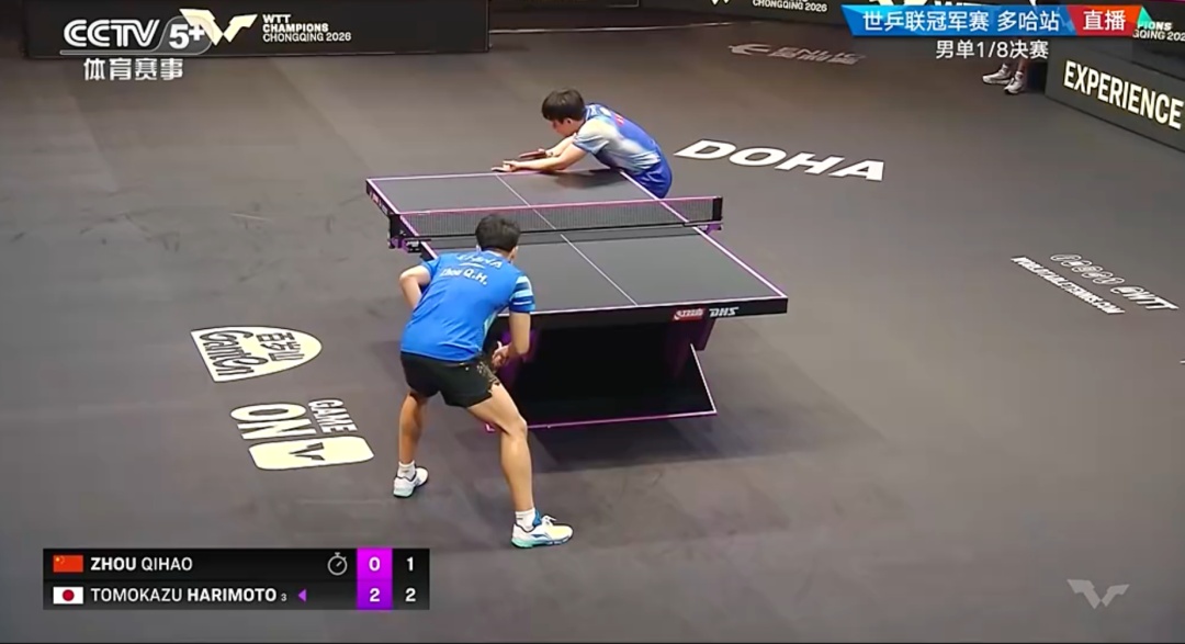 连续淘汰国乒两将！张本智和3比1周启豪晋级多哈冠军赛男单8强