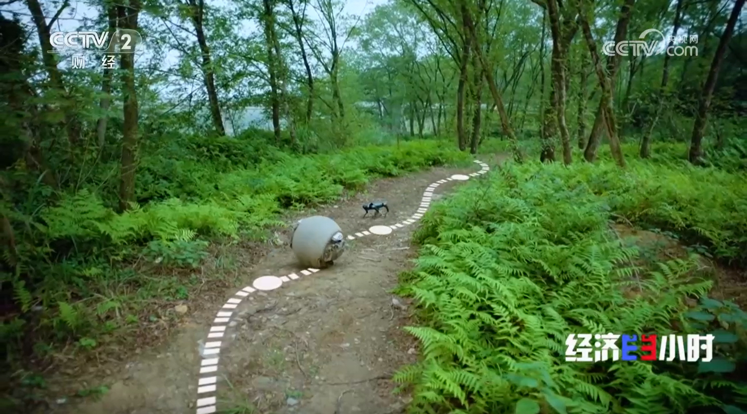 新年新场景:机器人“新同事”今日上岗 新年新场景:机器人“新同事”今日上岗
