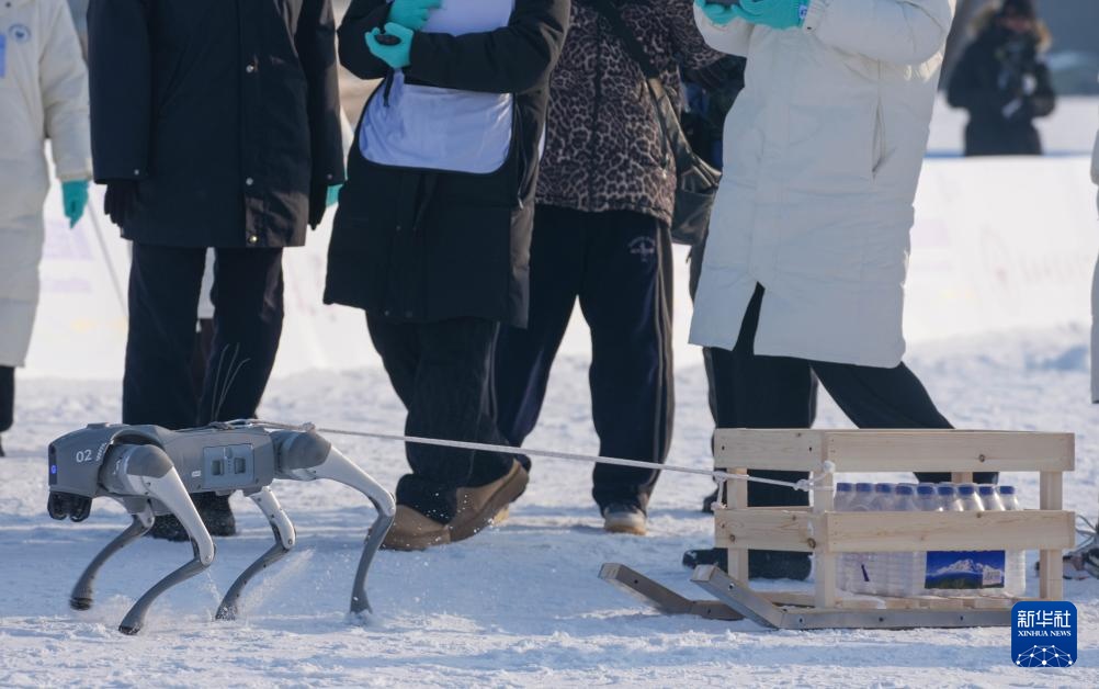 长春：机器人竞技冰雪中