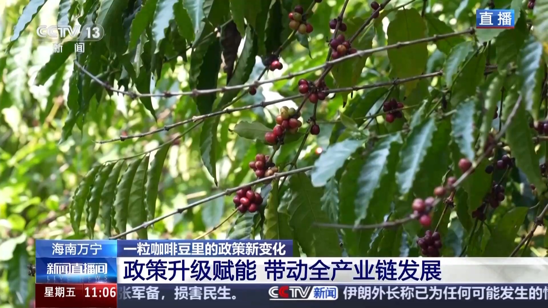 “十五五”开好局 起好步丨“咖啡+”文化体验地 从一粒咖啡豆看政策新变化 “十五五”开好局 起好步丨“咖啡+”文化体验地 从一粒咖啡豆看政策新变化