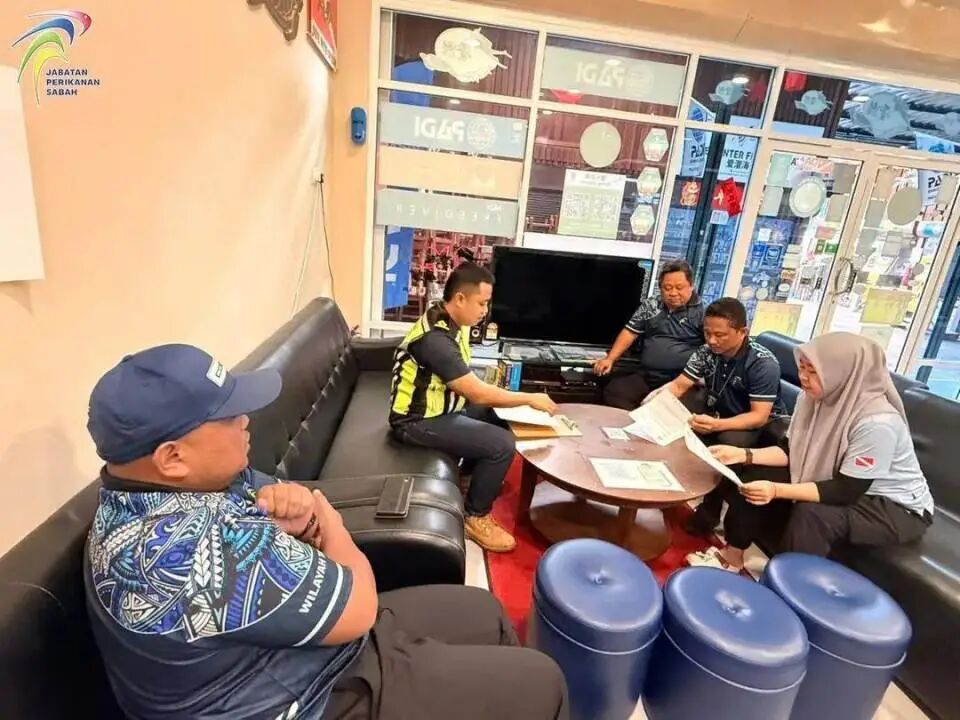 中国男子在潜水时拖曳玳瑁海龟、捏死海兔掰断珊瑚，马来西亚沙巴渔业局通报：严厉警告