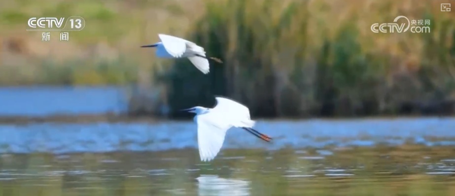 多维度“数”说新成效 夯实水安全保障基础 永续惠泽子孙后代