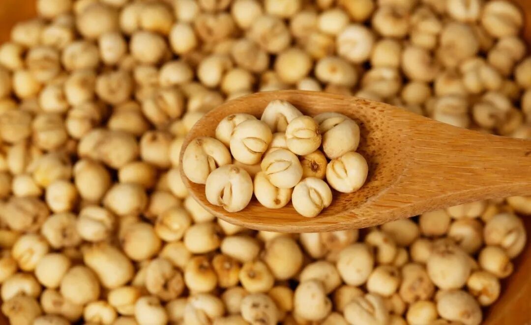 可以吃的“肺部加湿器”!燥热没了,津液足了,老“痰根”也清了! 可以吃的“肺部加湿器”!燥热没了,津液足了,老“痰根”也清了!