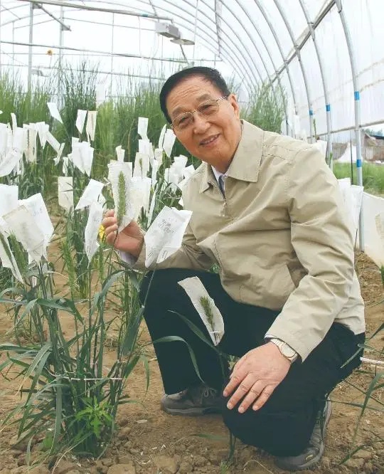 “中国人自己养活自己！”他的一生，都在为这一件事奔忙