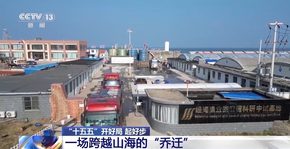 “十五五”开好局 起好步丨上百万尾鱼苗跨越山海 “蓝色粮仓”加速丰盈