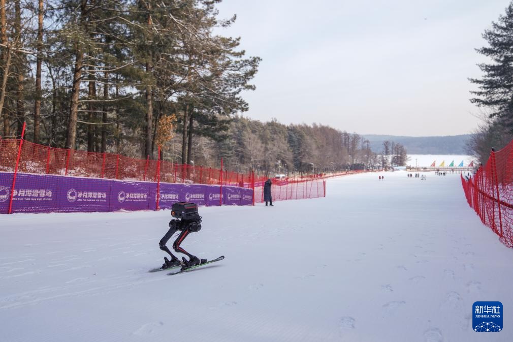 长春：机器人竞技冰雪中