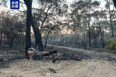 澳大利一州因山火进入灾难状态 澳大利一州因山火进入灾难状态