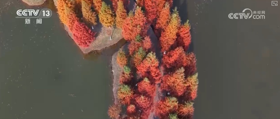 多维度“数”说新成效 夯实水安全保障基础 永续惠泽子孙后代