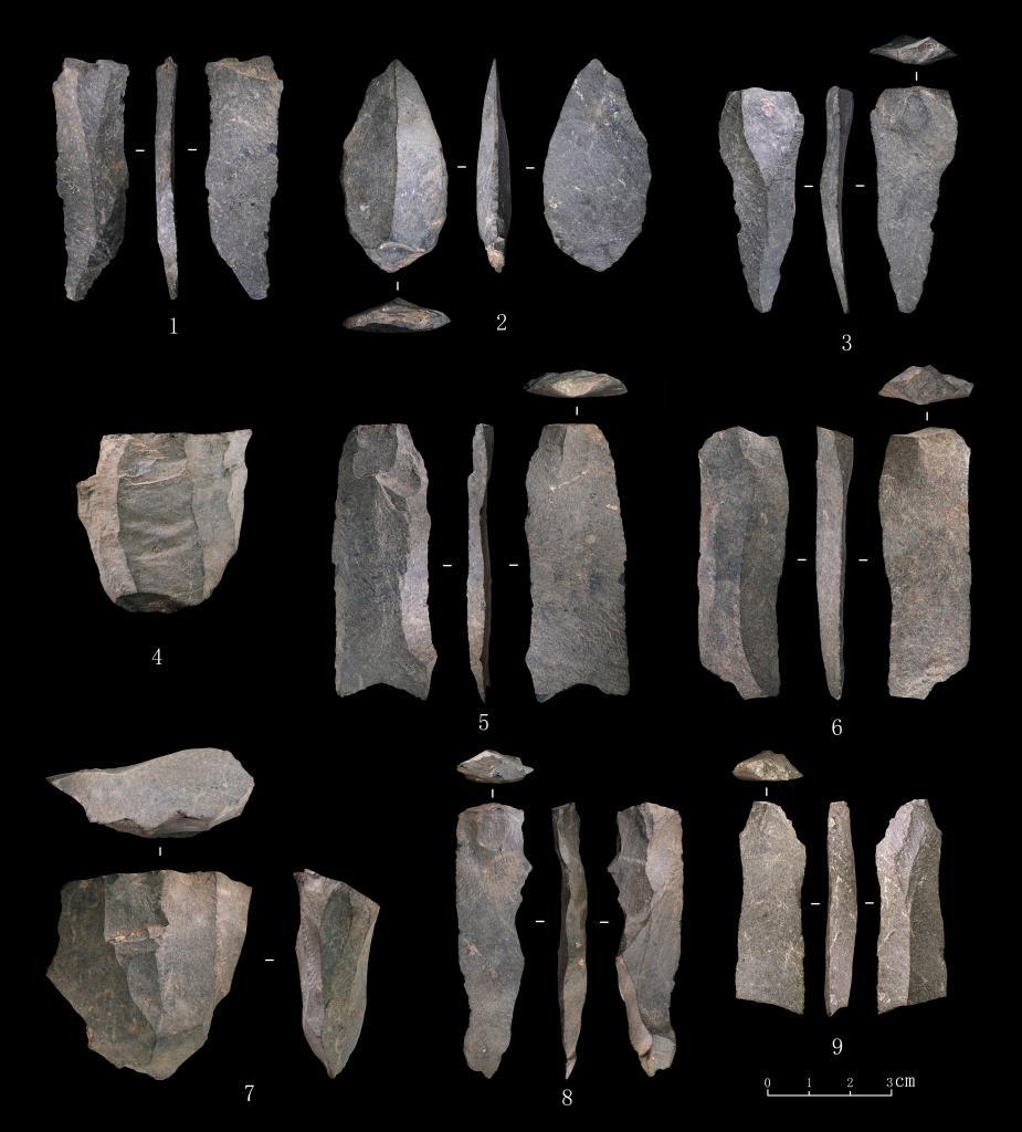 中肯联合考古发现旧石器中晚期石叶技术石制品