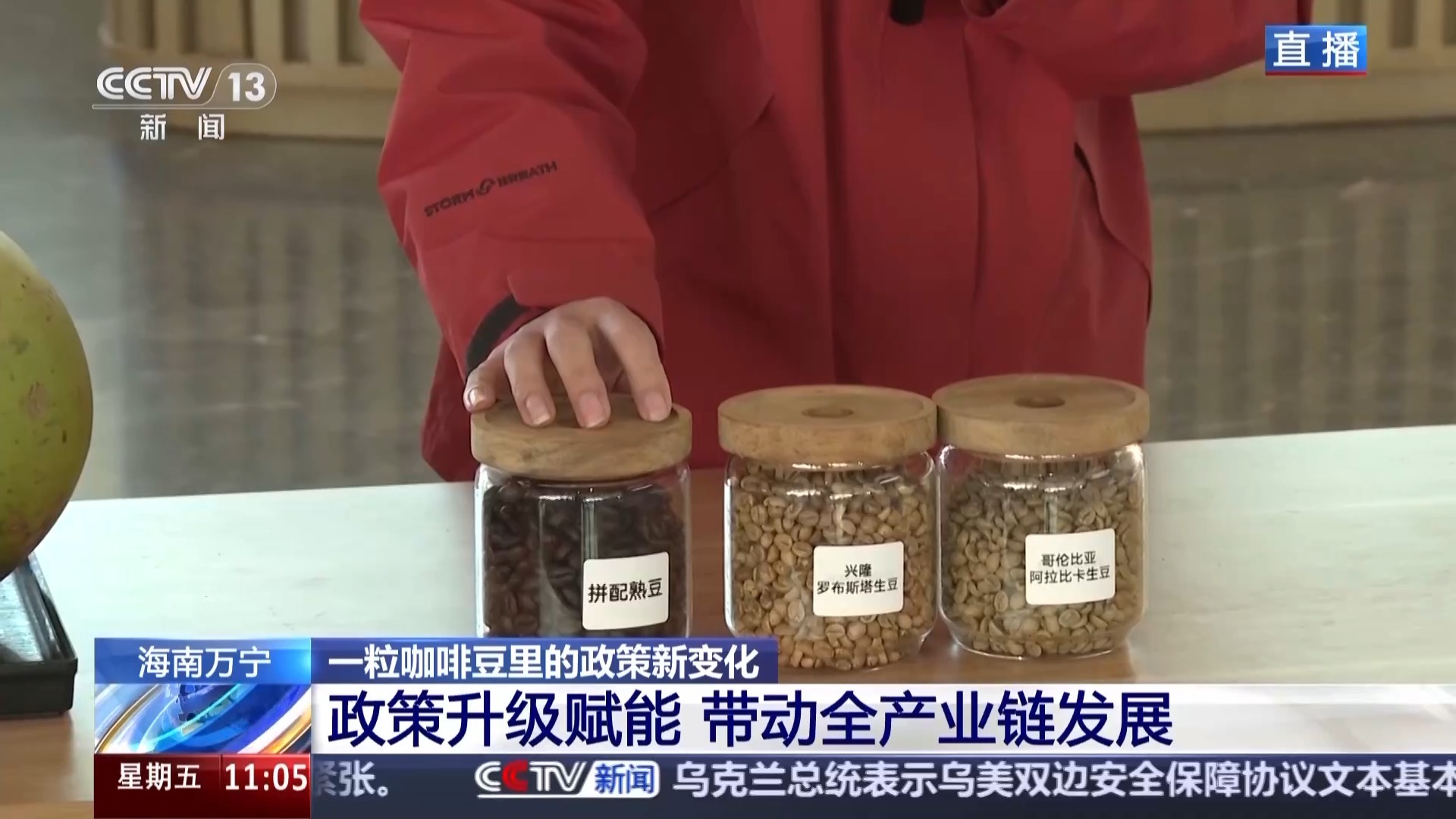 “十五五”开好局 起好步丨“咖啡+”文化体验地 从一粒咖啡豆看政策新变化 “十五五”开好局 起好步丨“咖啡+”文化体验地 从一粒咖啡豆看政策新变化