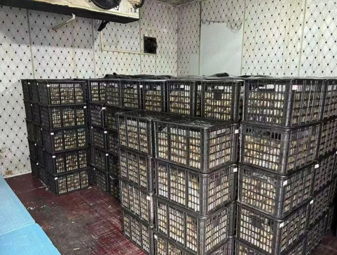 为什么车厘子历经一个月到中国还不坏？