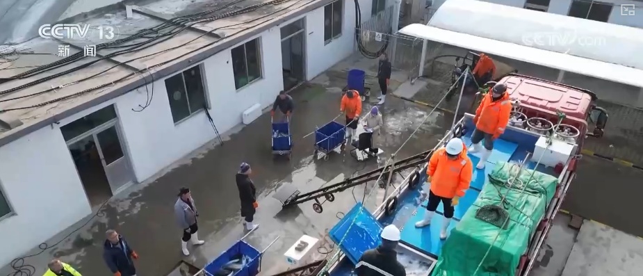 “智慧化养殖+保姆式服务”加速丰盈“蓝色粮仓” 海洋经济释放强劲动能