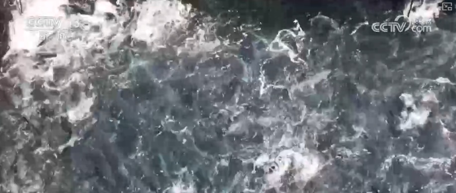 “智慧化养殖+保姆式服务”加速丰盈“蓝色粮仓” 海洋经济释放强劲动能