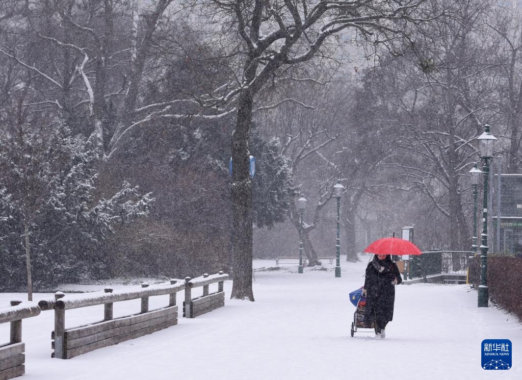 雪落维也纳 雪落维也纳