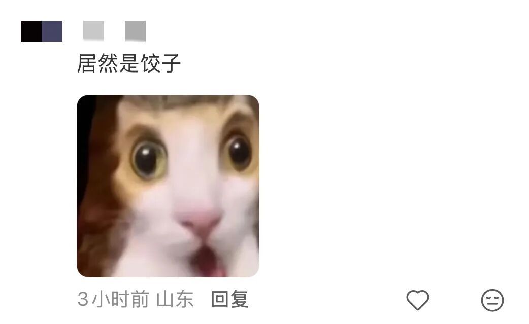 这饺子还是太超前了……“不好意思，从哪里开始是饺子？”