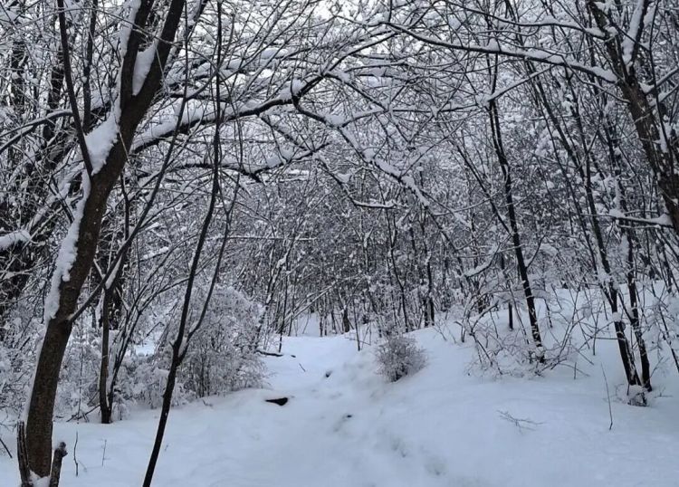 5人违规穿越“鳌太线”，3人遇难！救援人员还原搜救经过