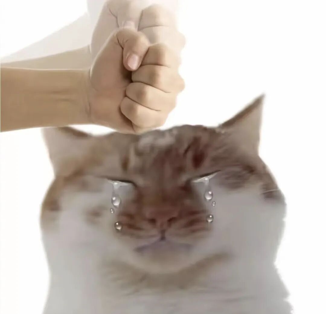 同学,“你现在的图片……偏丑” 同学,“你现在的图片……偏丑”