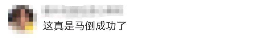 “哭哭马”意外走红！网友：真是马“倒”成功了