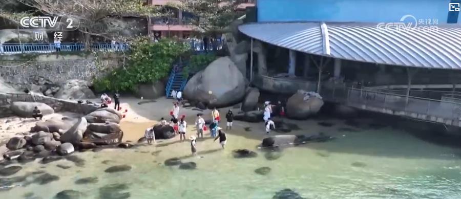 环岛高铁串联特色文旅 多元玩法激发消费活力加速释放