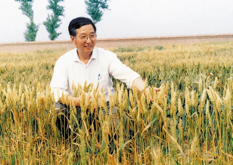 “中国人自己养活自己！”他的一生，都在为这一件事奔忙