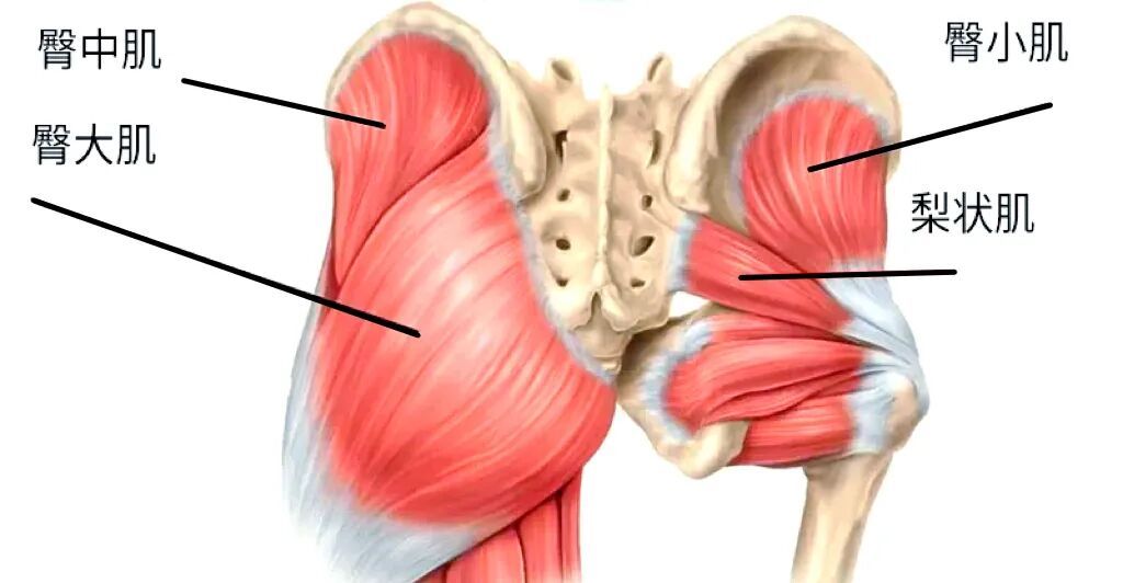 “屁股形状”能预测糖尿病？快来自查→