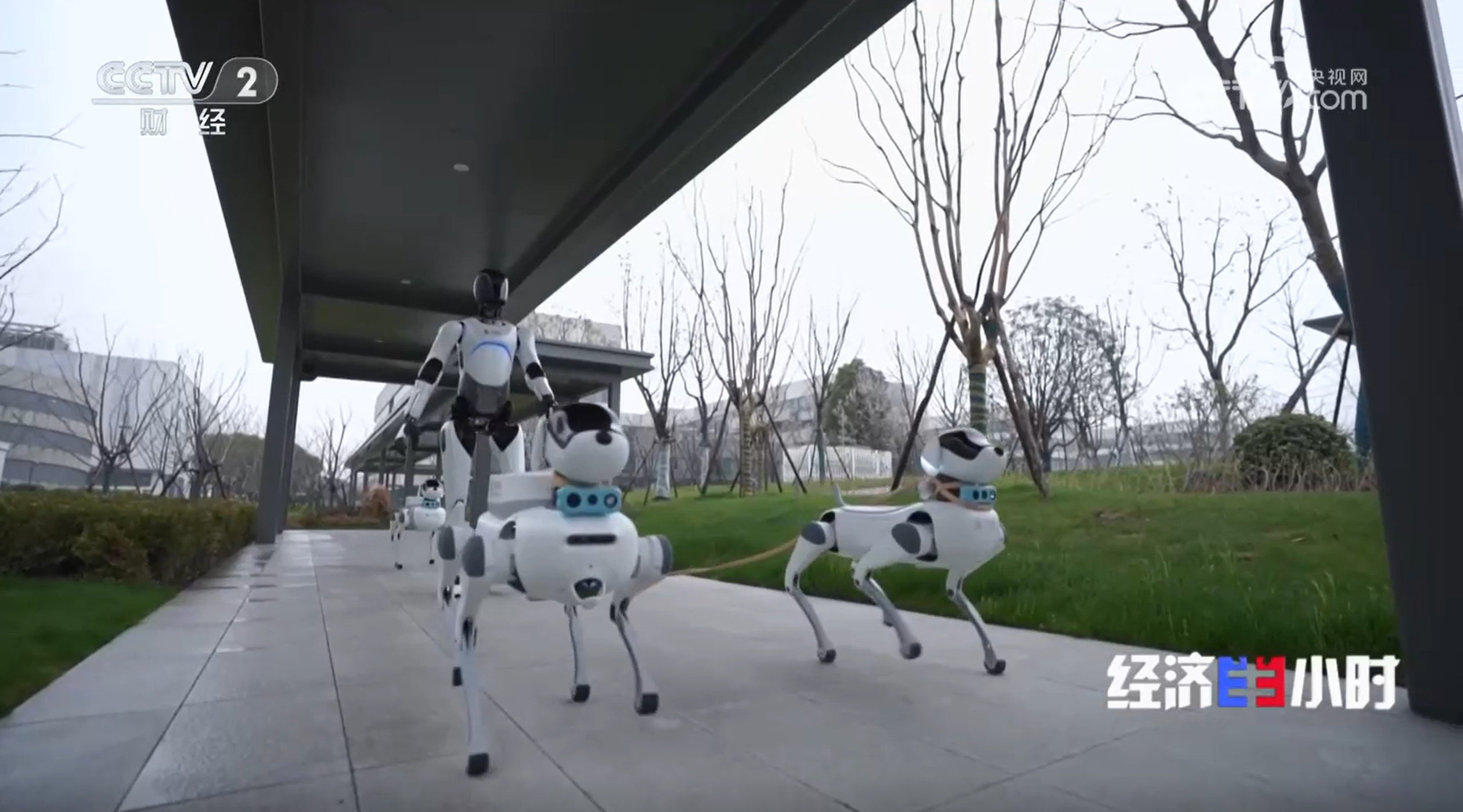 新年新场景:机器人“新同事”今日上岗 新年新场景:机器人“新同事”今日上岗