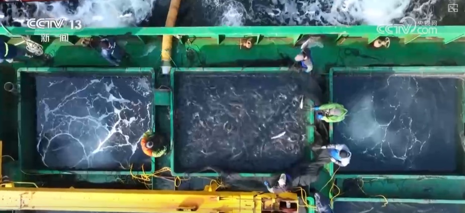 “智慧化养殖+保姆式服务”加速丰盈“蓝色粮仓” 海洋经济释放强劲动能