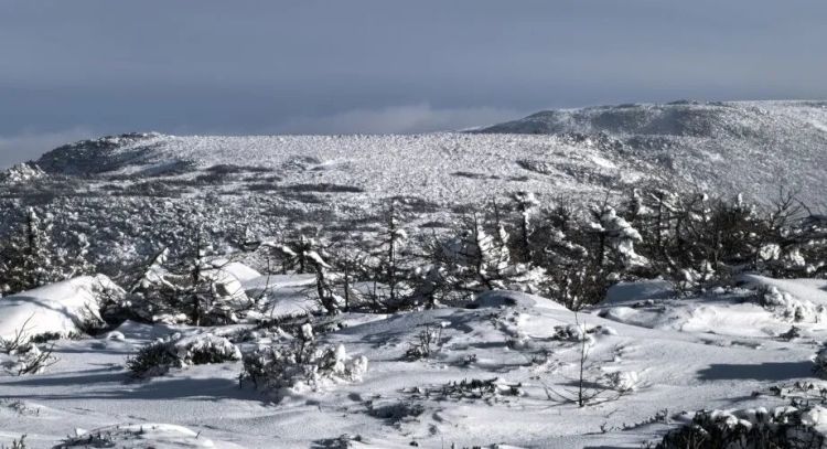 5人违规穿越“鳌太线”，3人遇难！救援人员还原搜救经过